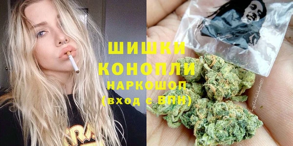 молекула духа Арсеньев