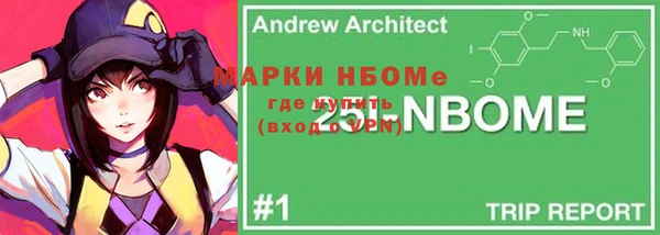 молекула духа Арсеньев