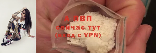 молекула духа Арсеньев