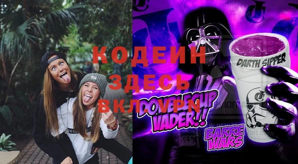 молекула духа Арсеньев