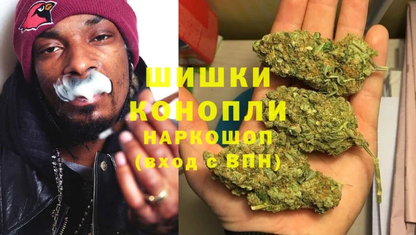 эйфоретик Аркадак