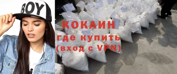 молекула духа Арсеньев
