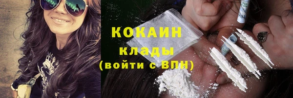 молекула духа Арсеньев