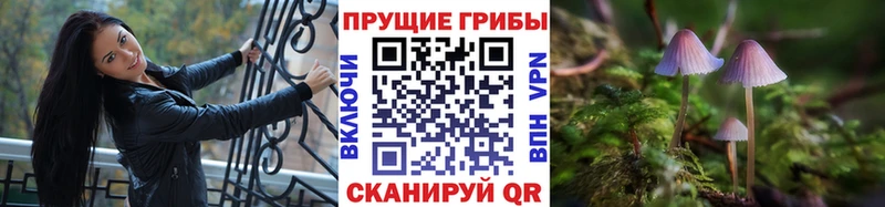 Галлюциногенные грибы Cubensis  Долгопрудный 